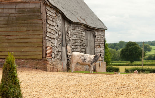 The Barns at Friars Court